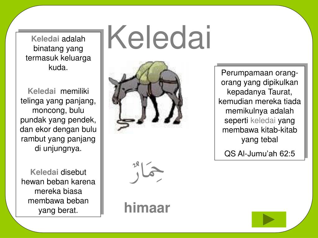 PPT Belajar tentang binatang dan namanya dalam Bahasa 