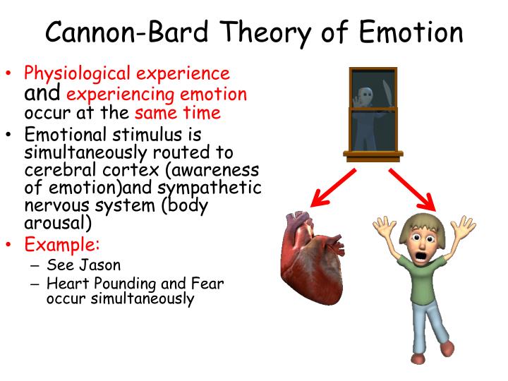 ppt emotion powerpoint presentation id 6566905 cannon bard theory