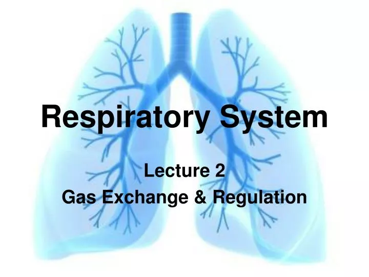 PPT Respiratory System PowerPoint Presentation, free download ID