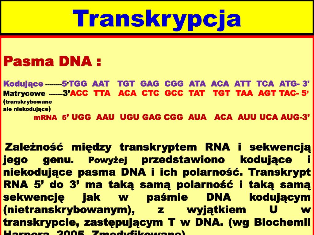 Co To Jest Transkrypcja Biologia PPT - Genetyka ogólna Biosynteza białka (transkrypcja i translacja