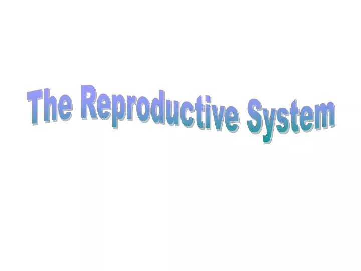 PPT - The Reproductive System PowerPoint Presentation, free download ...