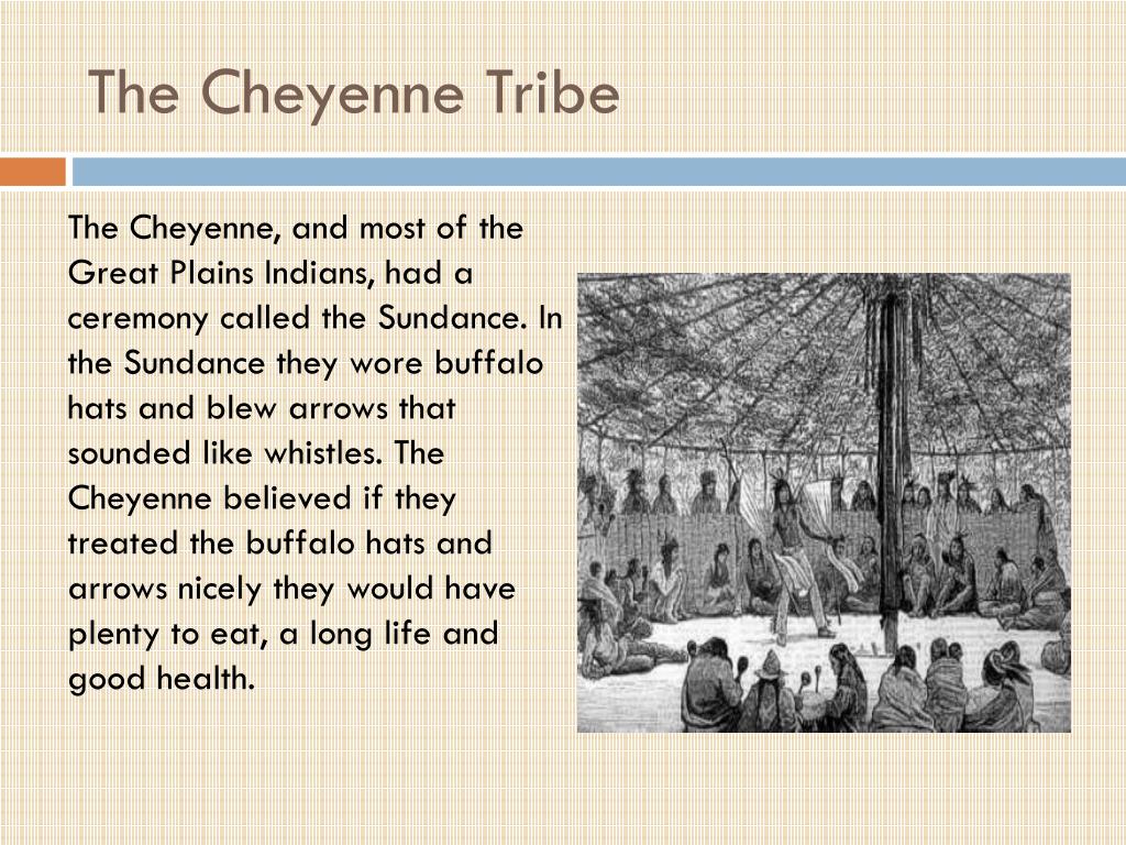 Как будет племя на английском. Племя Cheyenne информация на английском. 3 Факта о племени Шайенны the Cheyenne. Английские племена. Cheyenne Tribe information.