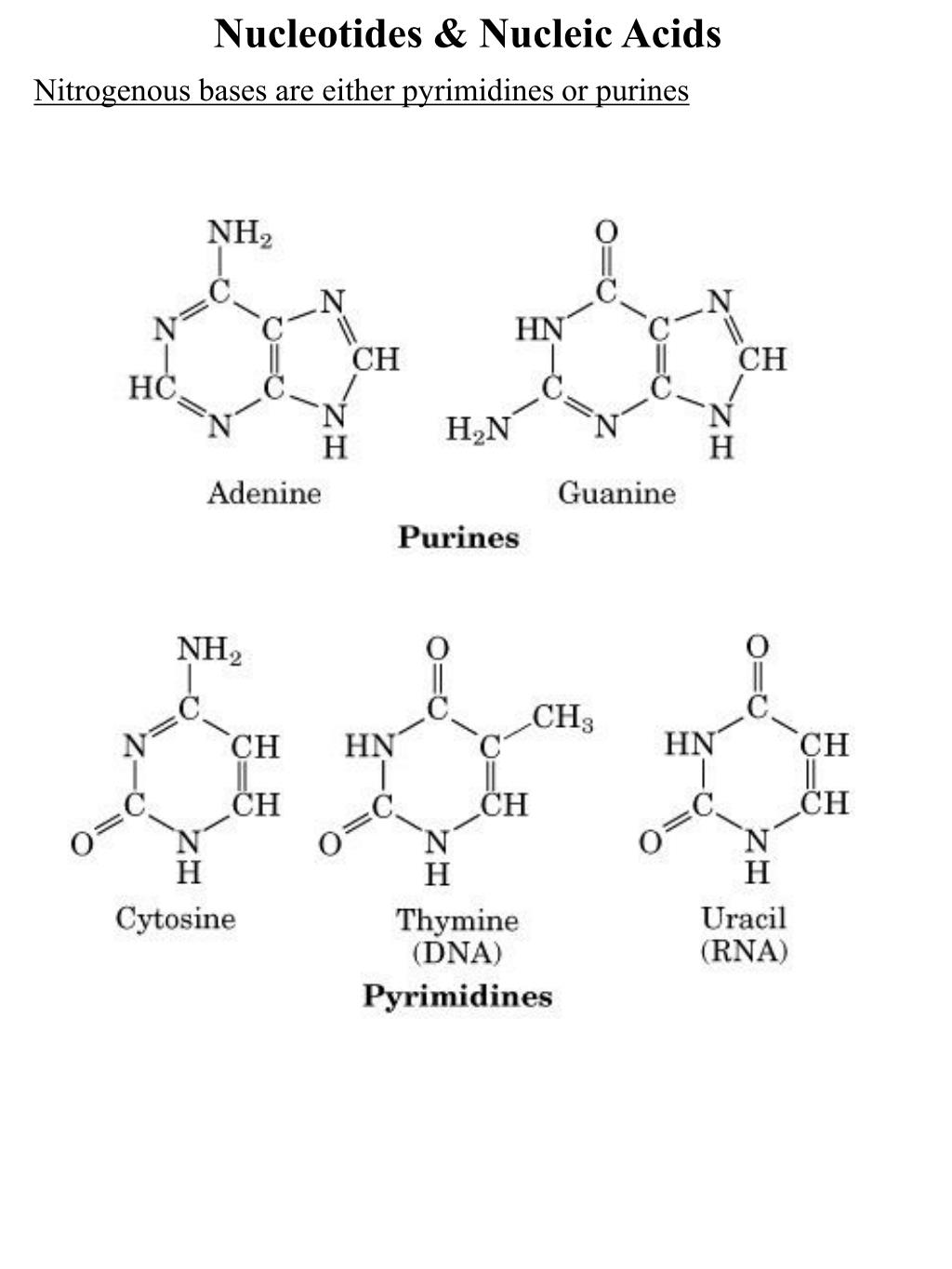 Рнк аденин тимин. Аденин строение. Аденин Тимин урацил. Гуанин формула. Nucleotide structure.