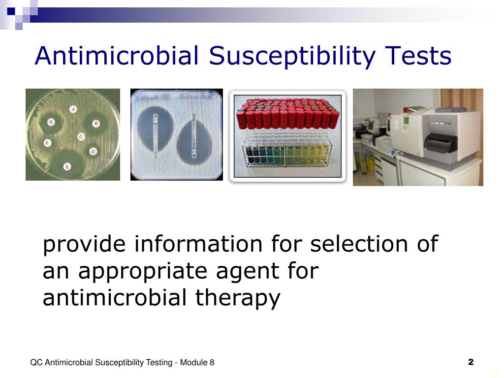 PPT Antimicrobial Susceptibility Tests PowerPoint Presentation, free