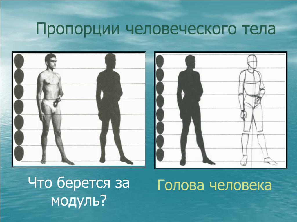 Какое из правил изображения человеческого тела противоречит канону древневосточной живописи