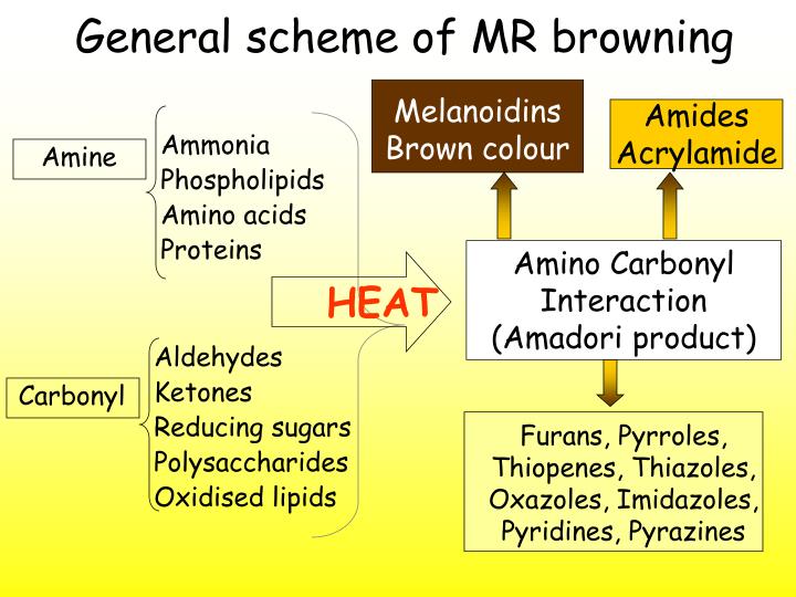 PPT - BROWNING IN THERMALLY PROCESSED FOODS: THE MAILLARD REACTION ...