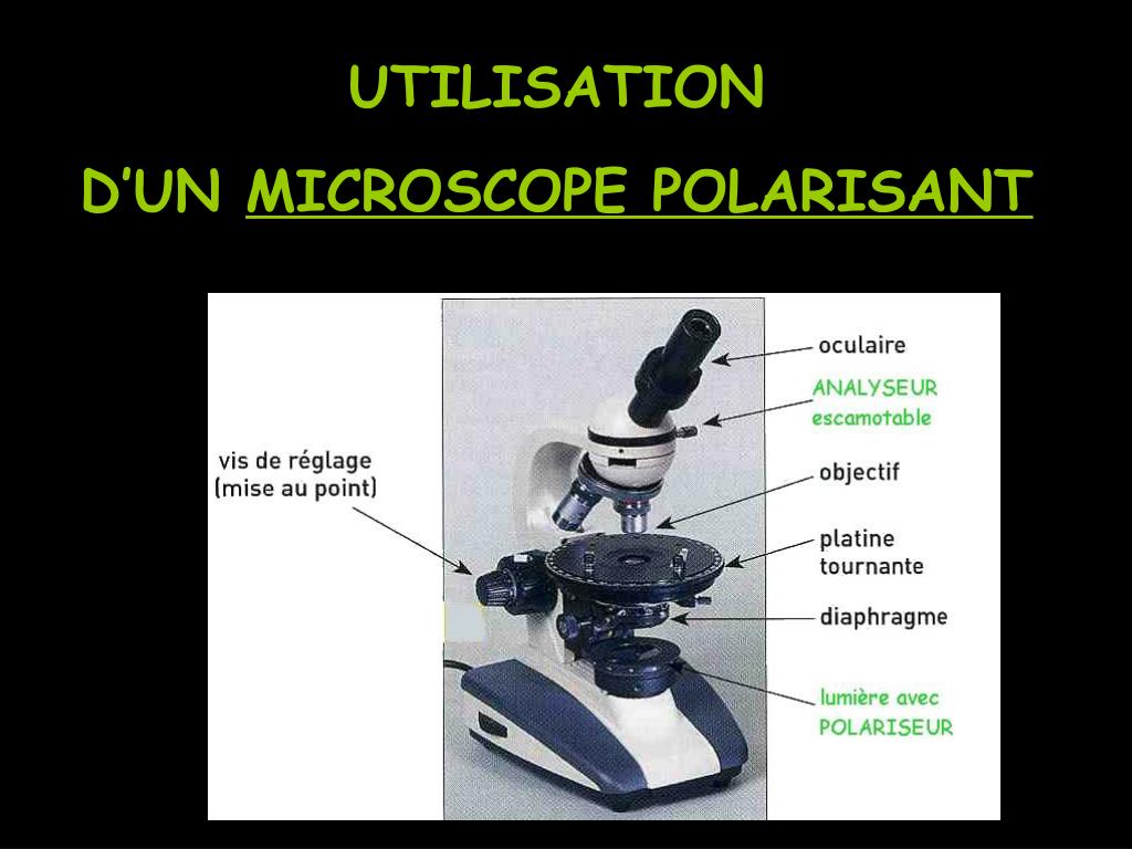 PPT - UTILISATION D'UN MICROSCOPE POLARISANT PowerPoint Presentation -  ID:6571076