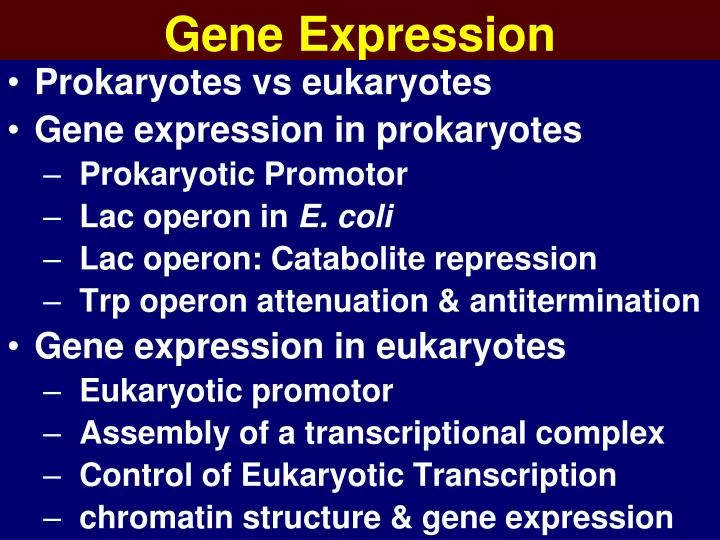 PPT Gene Expression PowerPoint Presentation, free download ID6572984