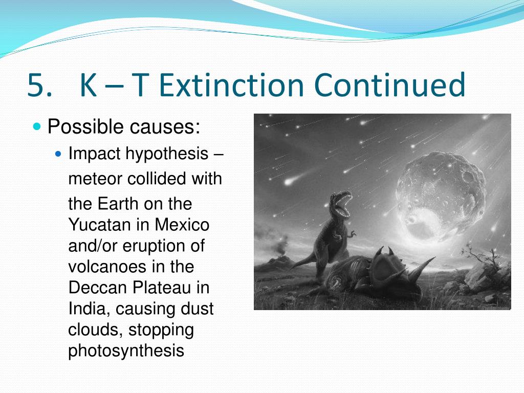kt extinction in detail