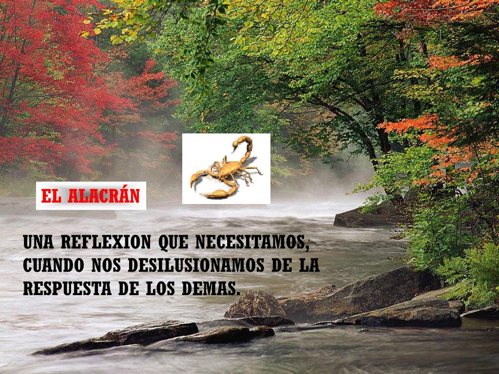El Alacrán De La Sierra A Través Del Vaso