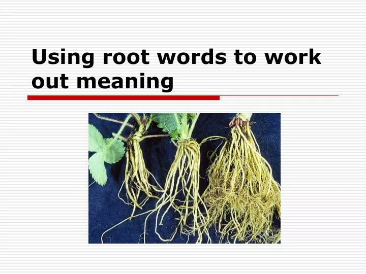root out meaning root out meaning