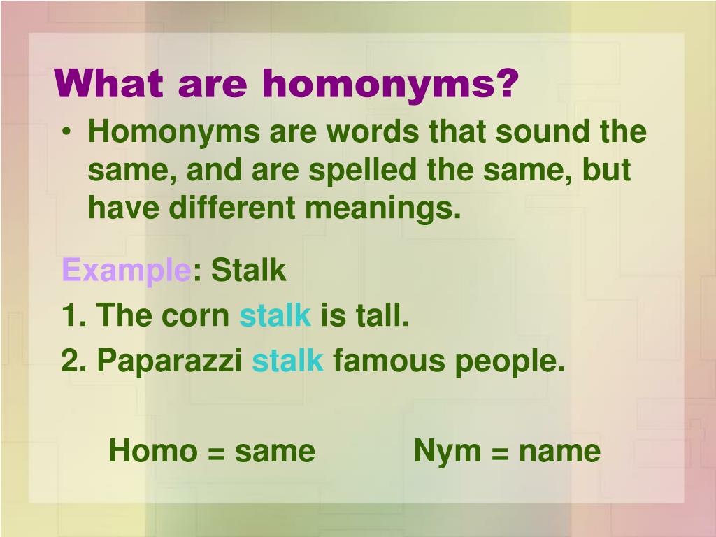 presentation on homonyms