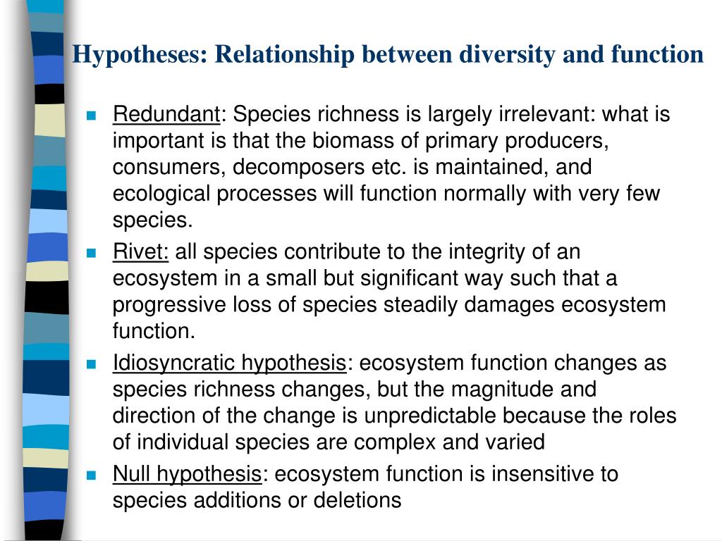 hypothesis on biodiversity