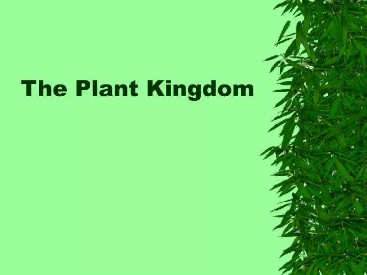 the plant kingdom n.