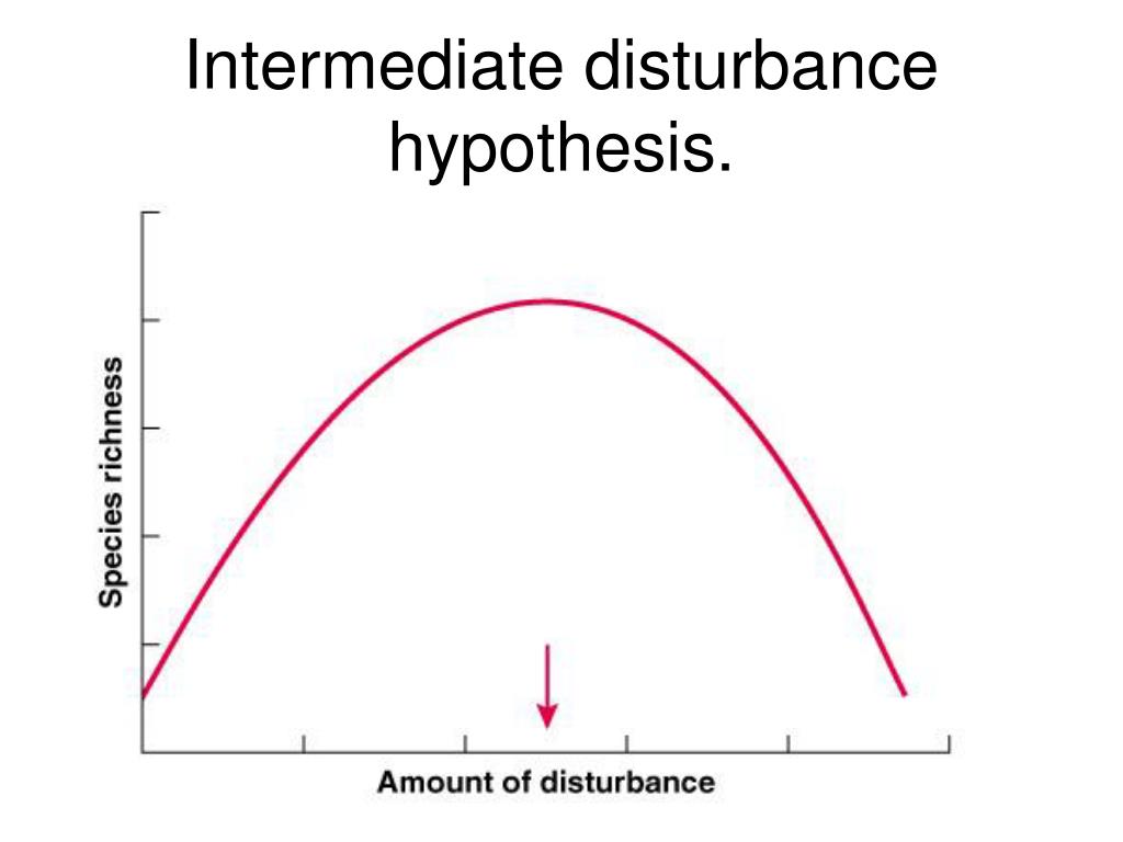 intermediate disturbance hypothesis in a sentence
