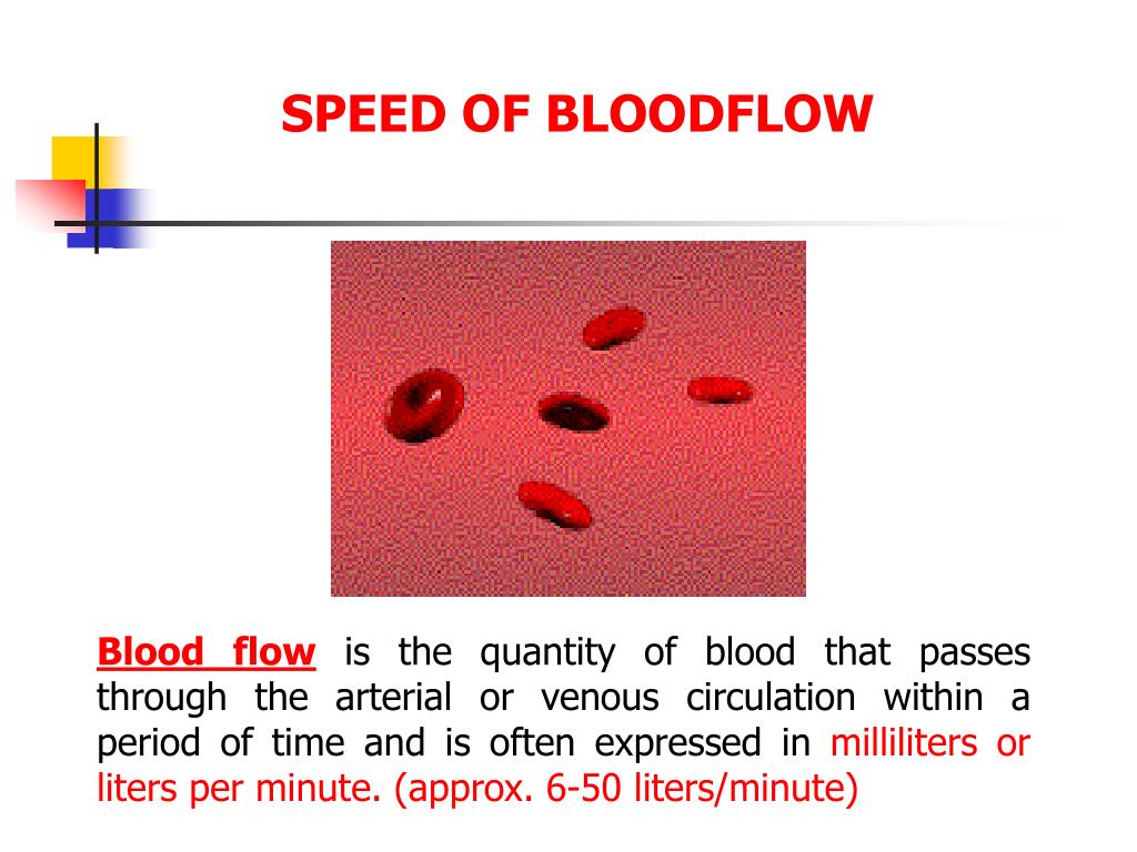 blood travel speed