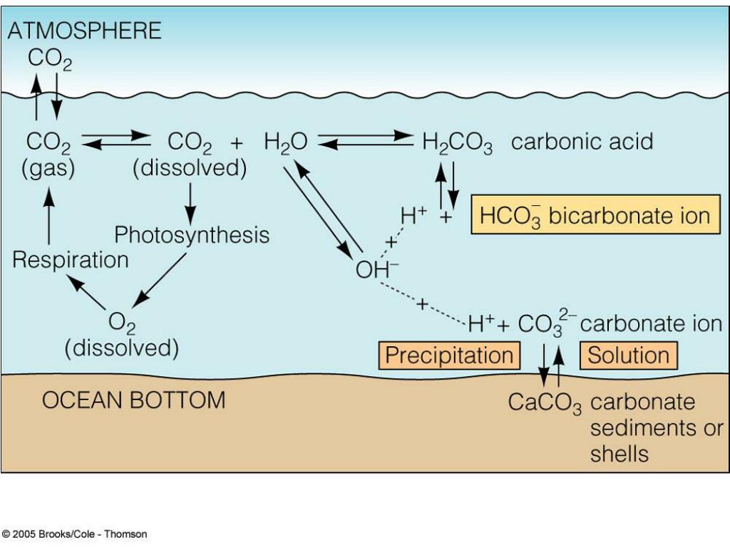 Carbon oxygen carbon dioxide