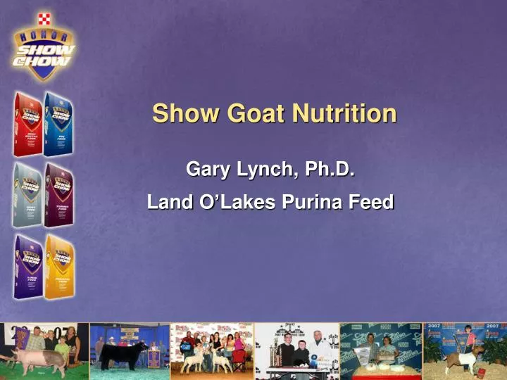 show goat nutrition n.