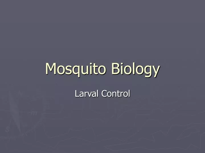 mosquito biology n.