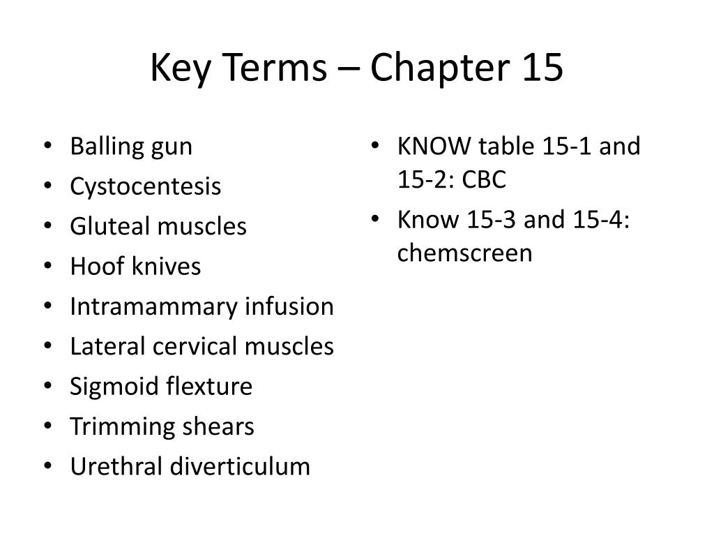 straightening of the sigmoid flexture