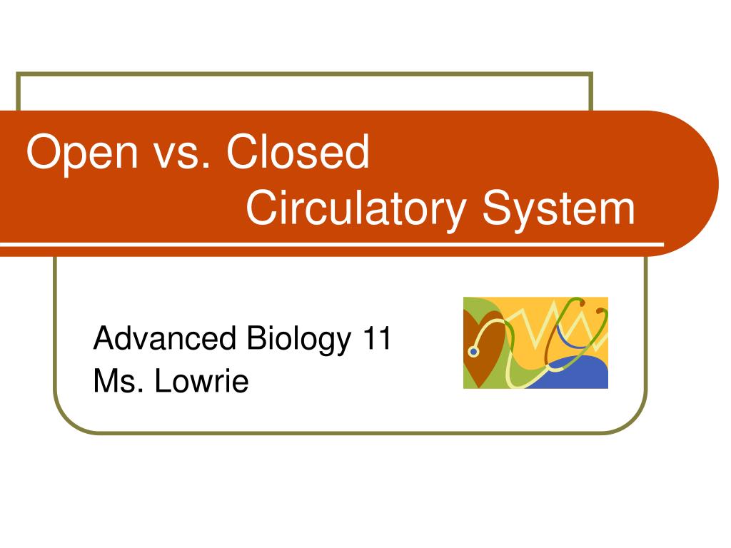 ð Closed circulatory system. Circulatory System: Definition, Functions