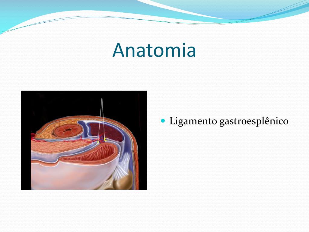 Ppt Hospital Federal Cardoso Fontes Servi O De Cirurgia Geral Sess O Cl Nica Powerpoint