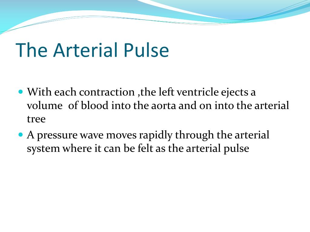 PPT The Arterial Pulse PowerPoint Presentation, free download ID