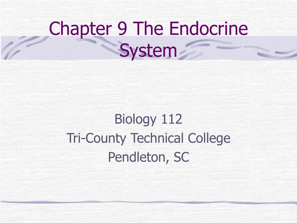 PPT - Chapter 9 The Endocrine System PowerPoint Presentation, Free ...