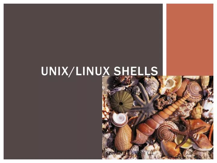 PPT - Unix/Linux shells PowerPoint Presentation, free download - ID:6589520