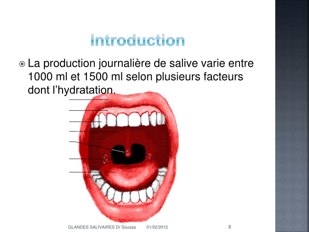 PPT Les Glandes Salivaires PowerPoint Presentation Free Download ppt-les-glandes-salivaires-powerpoint-presentation-free-download