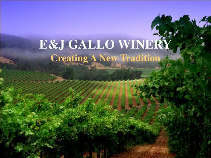 PPT E&J GALLO WINERY Creating A New Tradition PowerPoint Presentation
