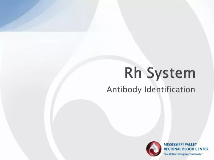 rh system n.