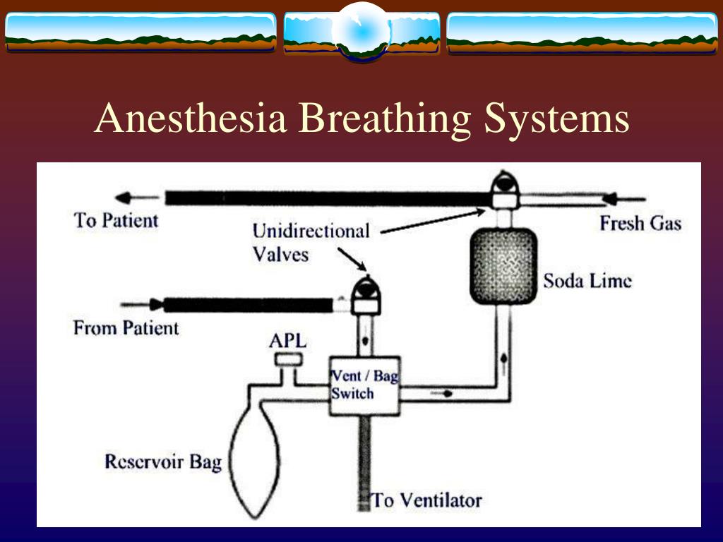 PPT Anesthesia Breathing Systems PowerPoint Presentation, free