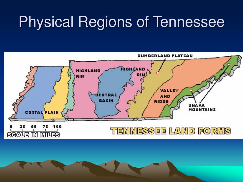 Ppt Physical Regions Of Tennessee From West To East Powerpoint Presentation Id6594056 4796
