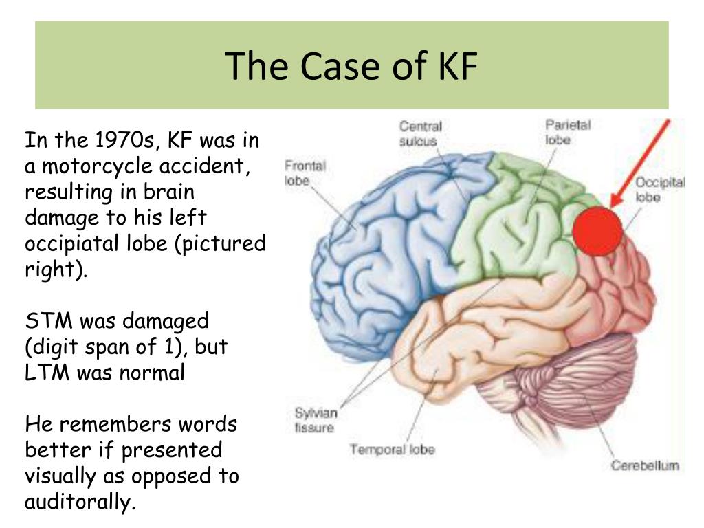 case study kf memory