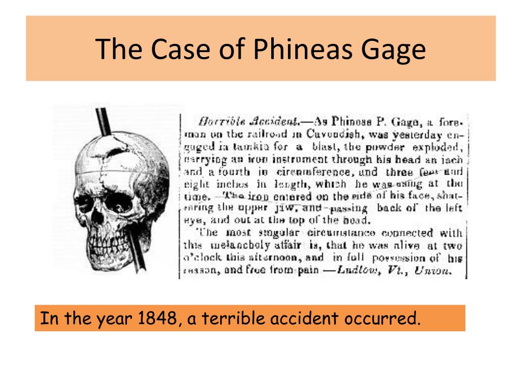 phineas gage case study answers
