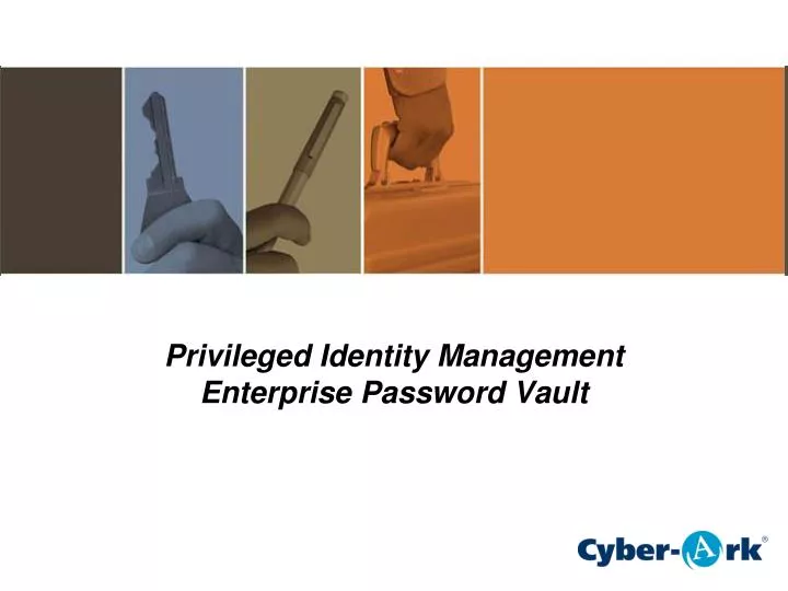 privileged identity management enterprise password vault n.