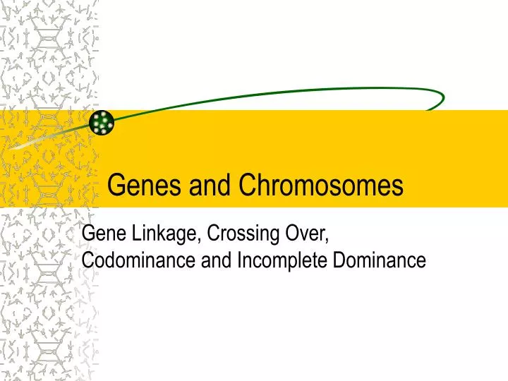 genes and chromosomes n.