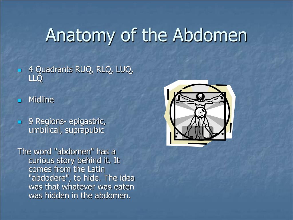 PPT - Abdomen Assessment PowerPoint Presentation, free download - ID