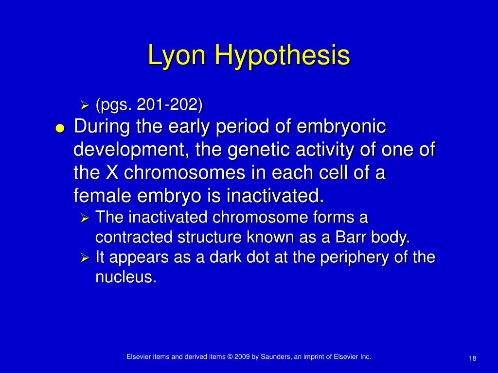 what is the lyon hypothesis all about