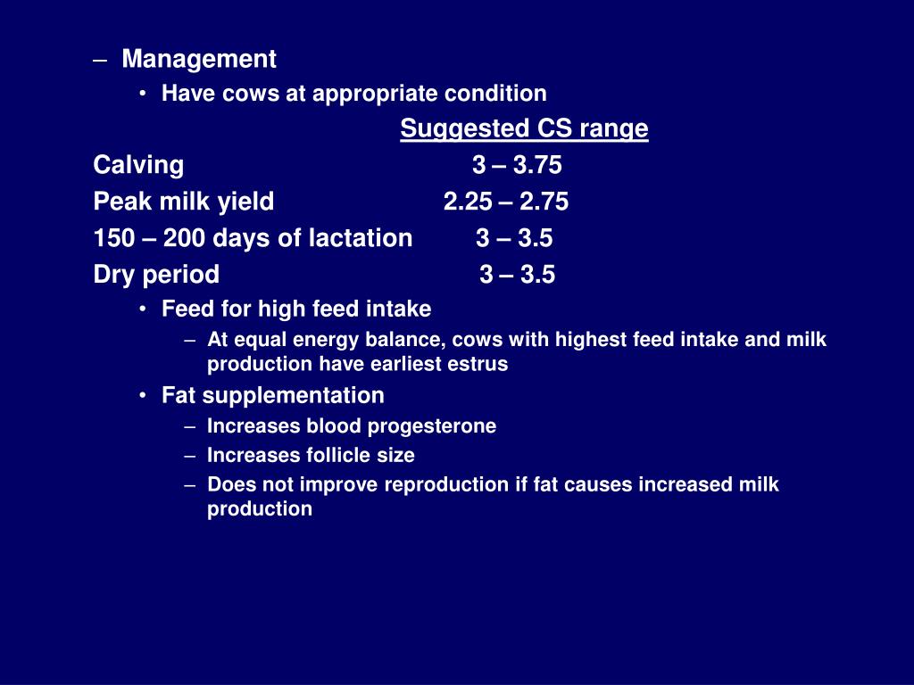 PPT Energy Requirement Of Dairy Cows PowerPoint Presentation Free 