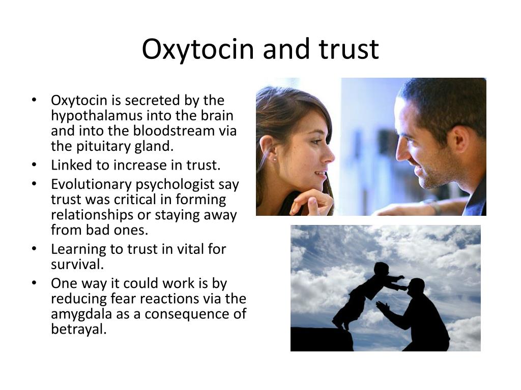 Best Oxytocin And Touch As A Means Of Building Trust In Friendships in the year 2023 Don t miss out 