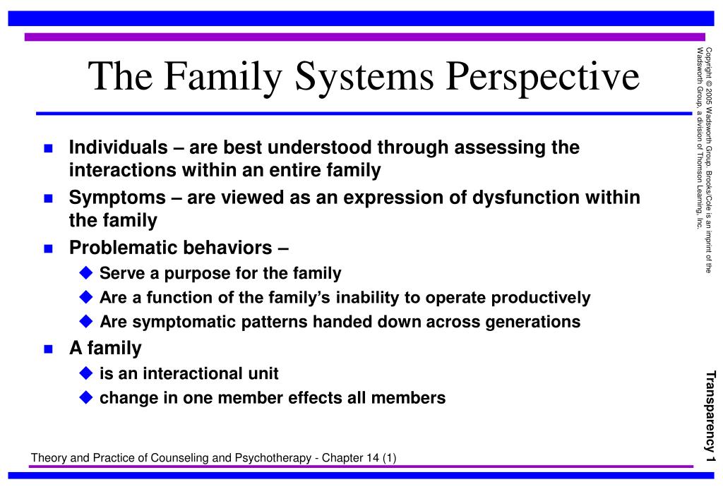 family systems perspective