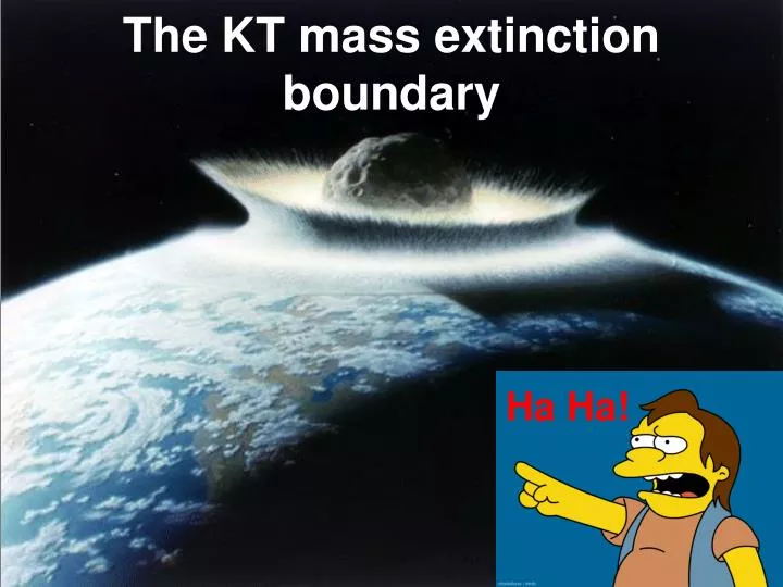 kt extinction in detail