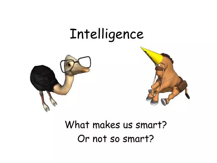 intelligence n.