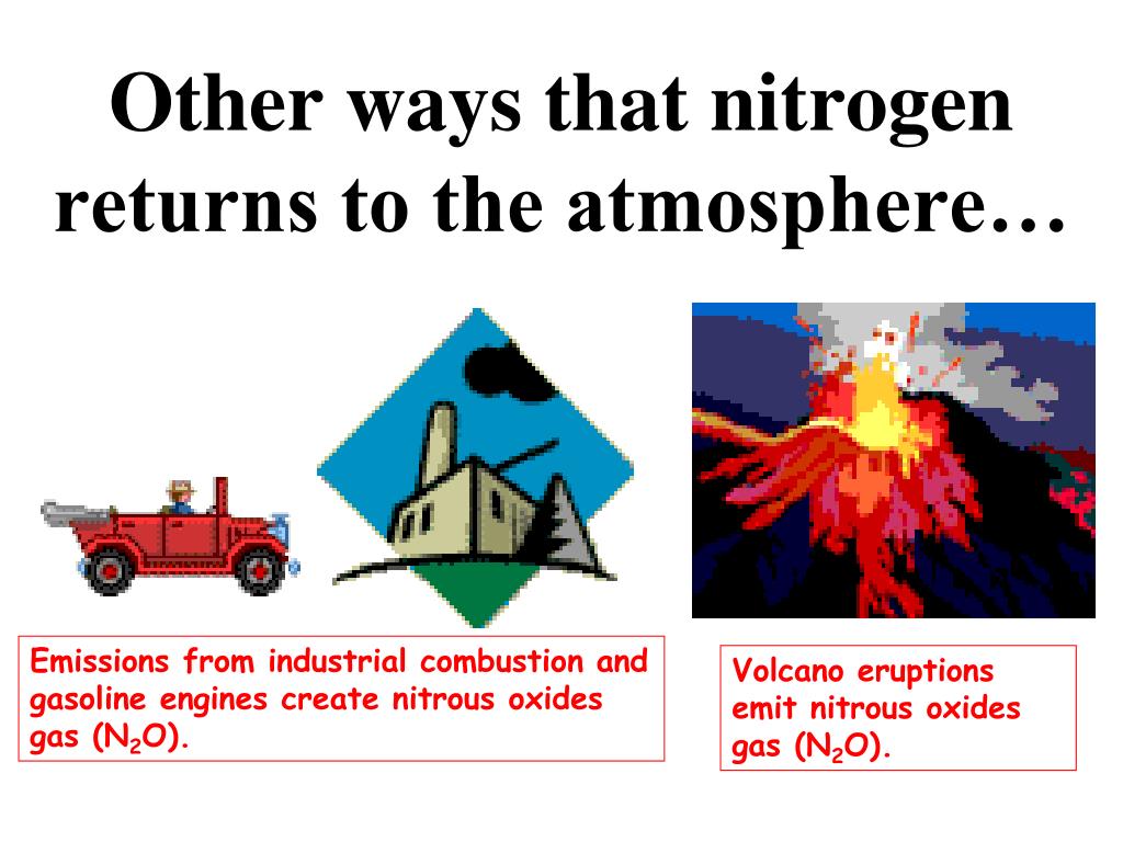 how is nitrogen returned to the atmosphere