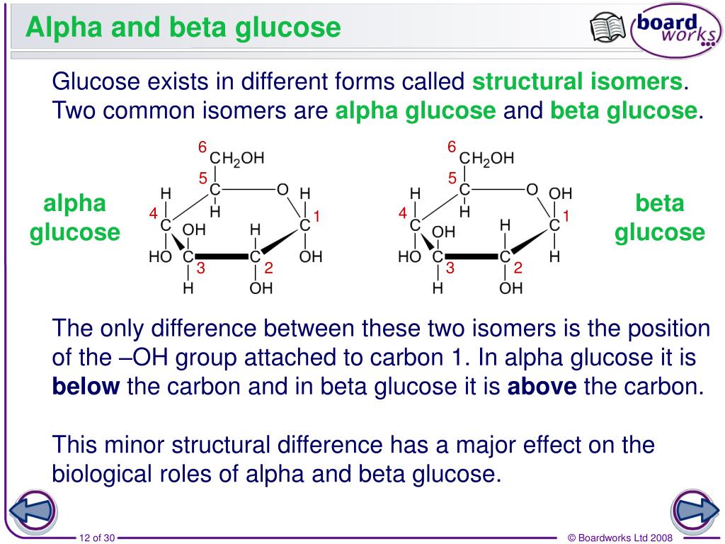 PPT Haggerston School Biology A Level PowerPoint Presentation Free PPT Haggerston School Biology A Level PowerPoint Presentation Free