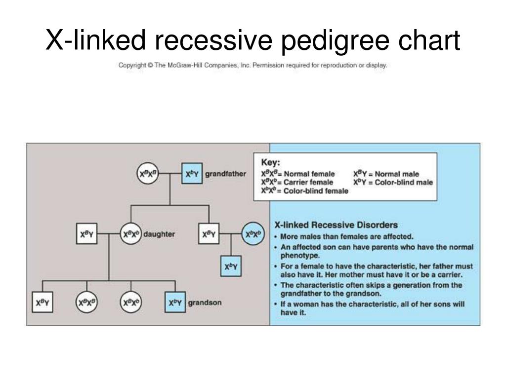 PPT Patterns of Chromosome Inheritance PowerPoint Presentation, free