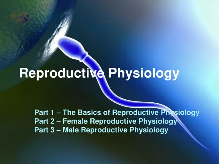 PPT - Reproductive Physiology PowerPoint Presentation, Free Download ...