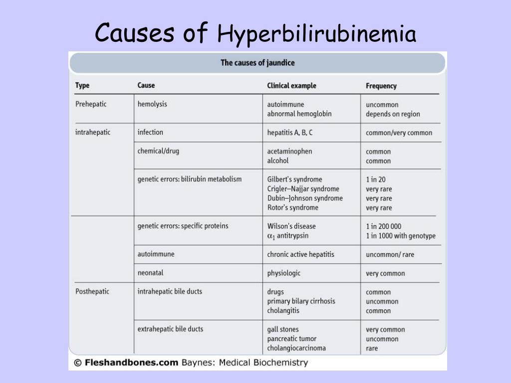 Causes Of Hyperbilirubinemia L 